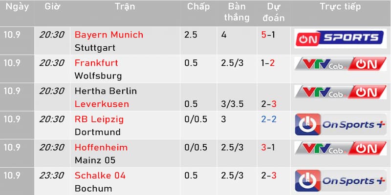 Cách theo dõi lịch thi đấu Bundesliga hiệu quả cho người chơi