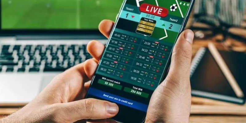 Những lưu ý quan trọng khi soi kèo nhà cái